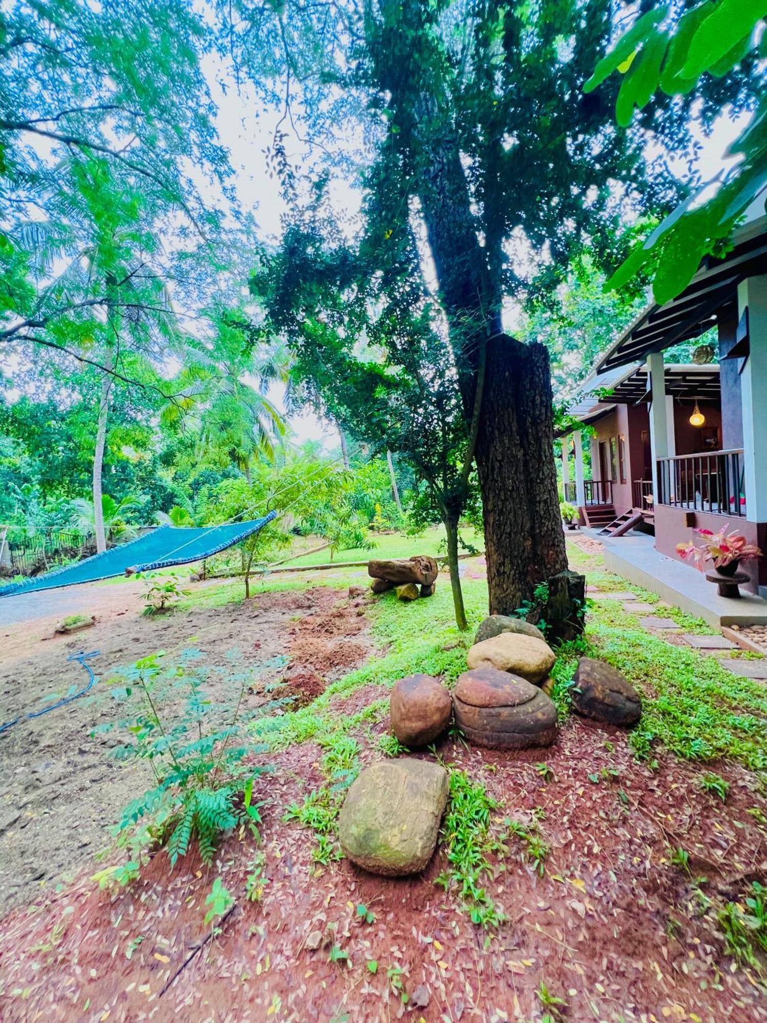 Edenhaven Cottage Udawalawe Eksteriør bilde